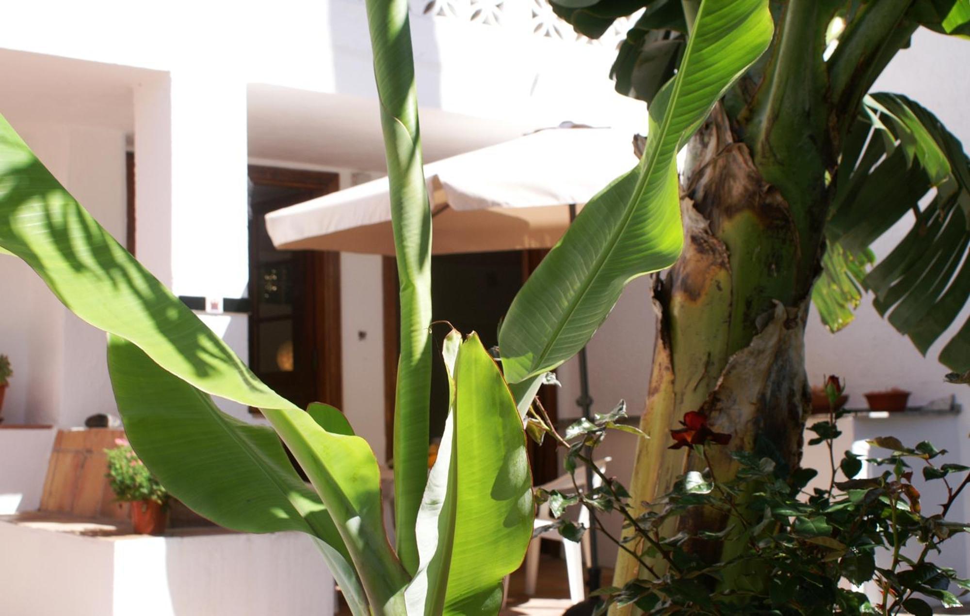 Casa Creativa Hermigua Quarto foto